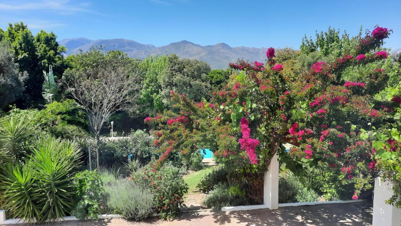 Alba House Guest House Paarl Bagian luar foto