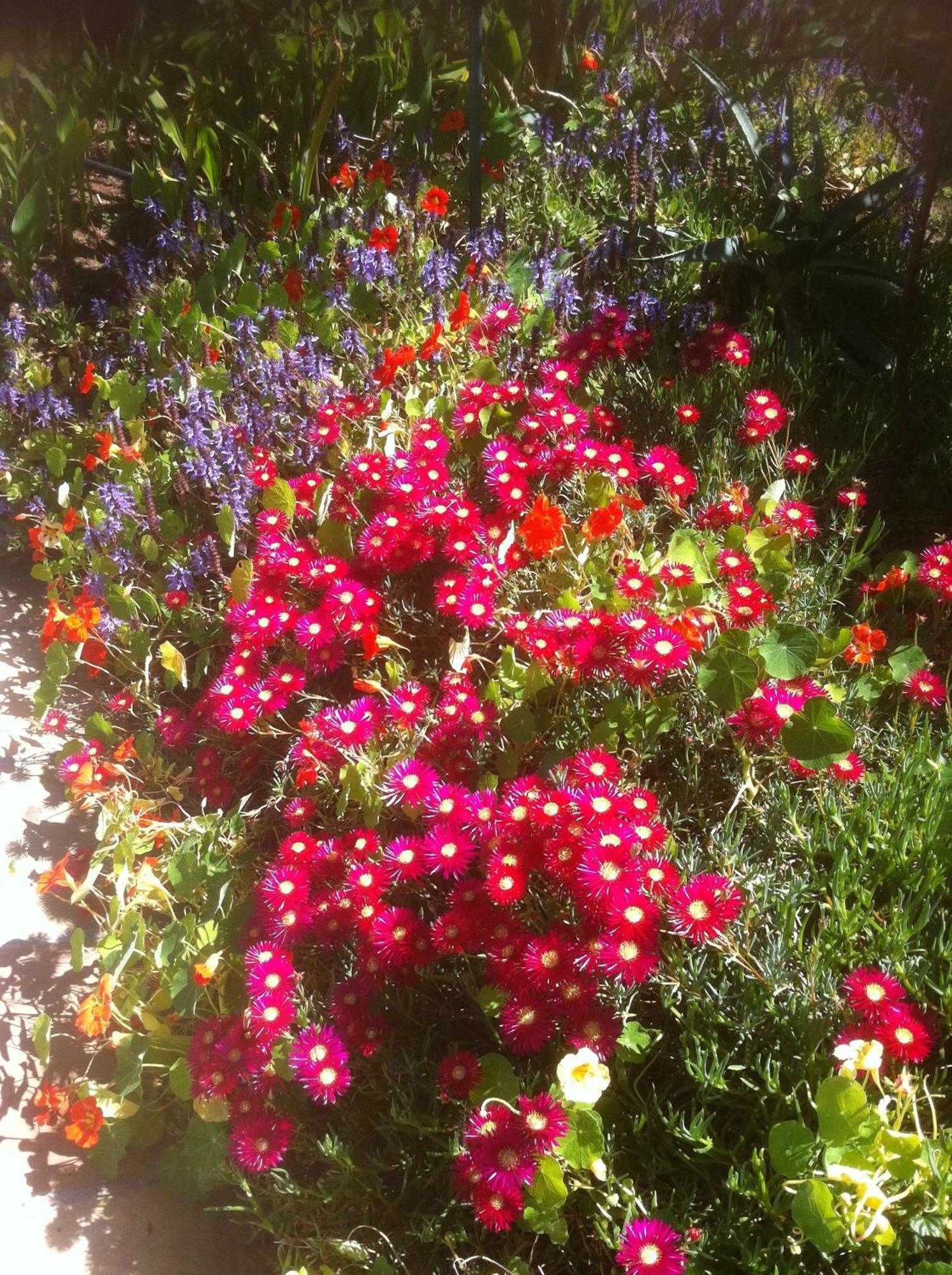 Alba House Guest House Paarl Bagian luar foto