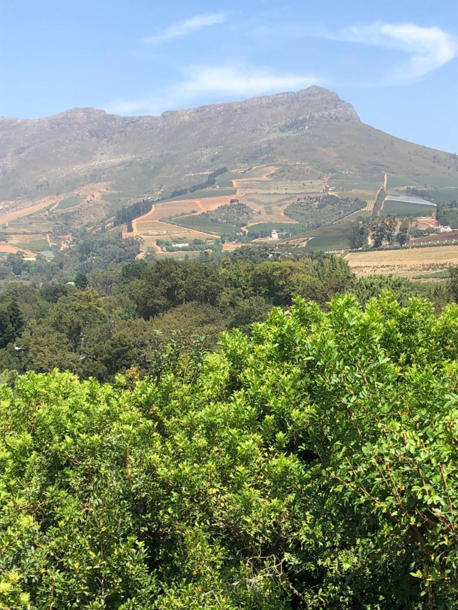 Alba House Guest House Paarl Bagian luar foto
