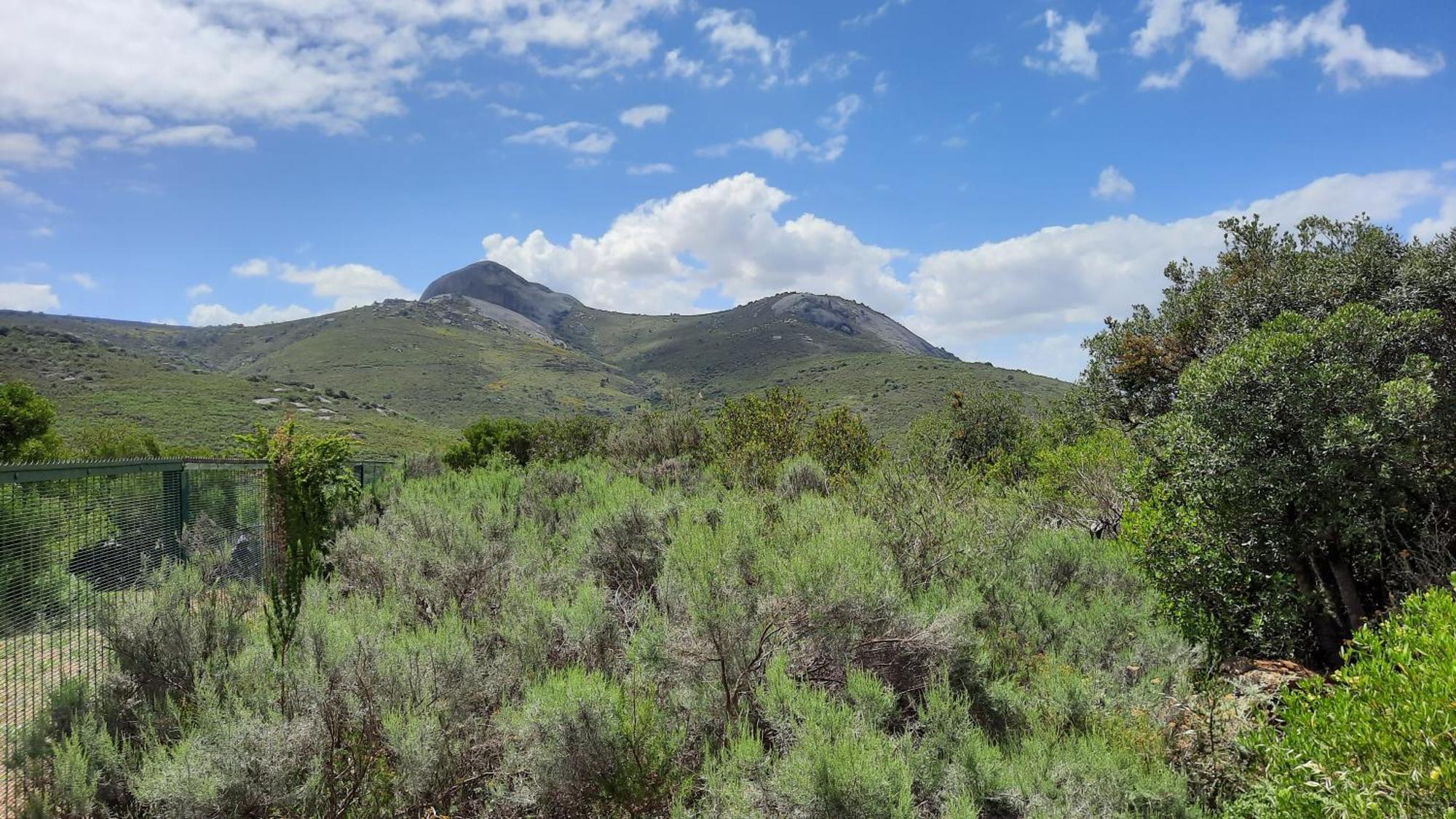 Alba House Guest House Paarl Bagian luar foto